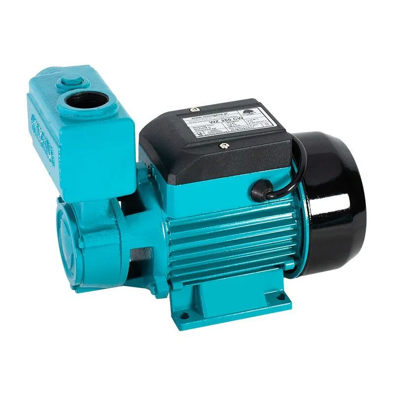 Pompa WZ 250 CW Omnigena 230V do ciepłej wody